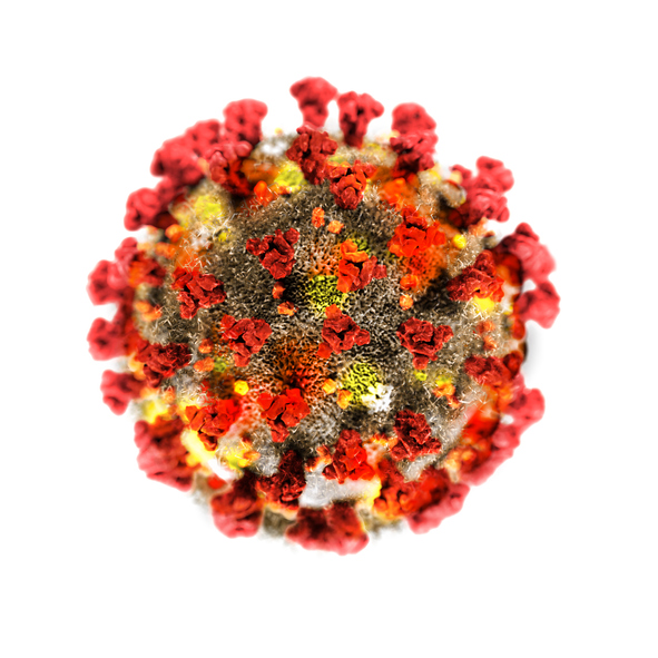 corona virus isolated on white background 3d illutration