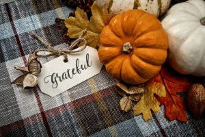 This is a close up photo of a group of small white pumpkins on a plaid table cloth background. There is space for copy.This photo would work well for Thanksgiving and a holiday season in the fall.