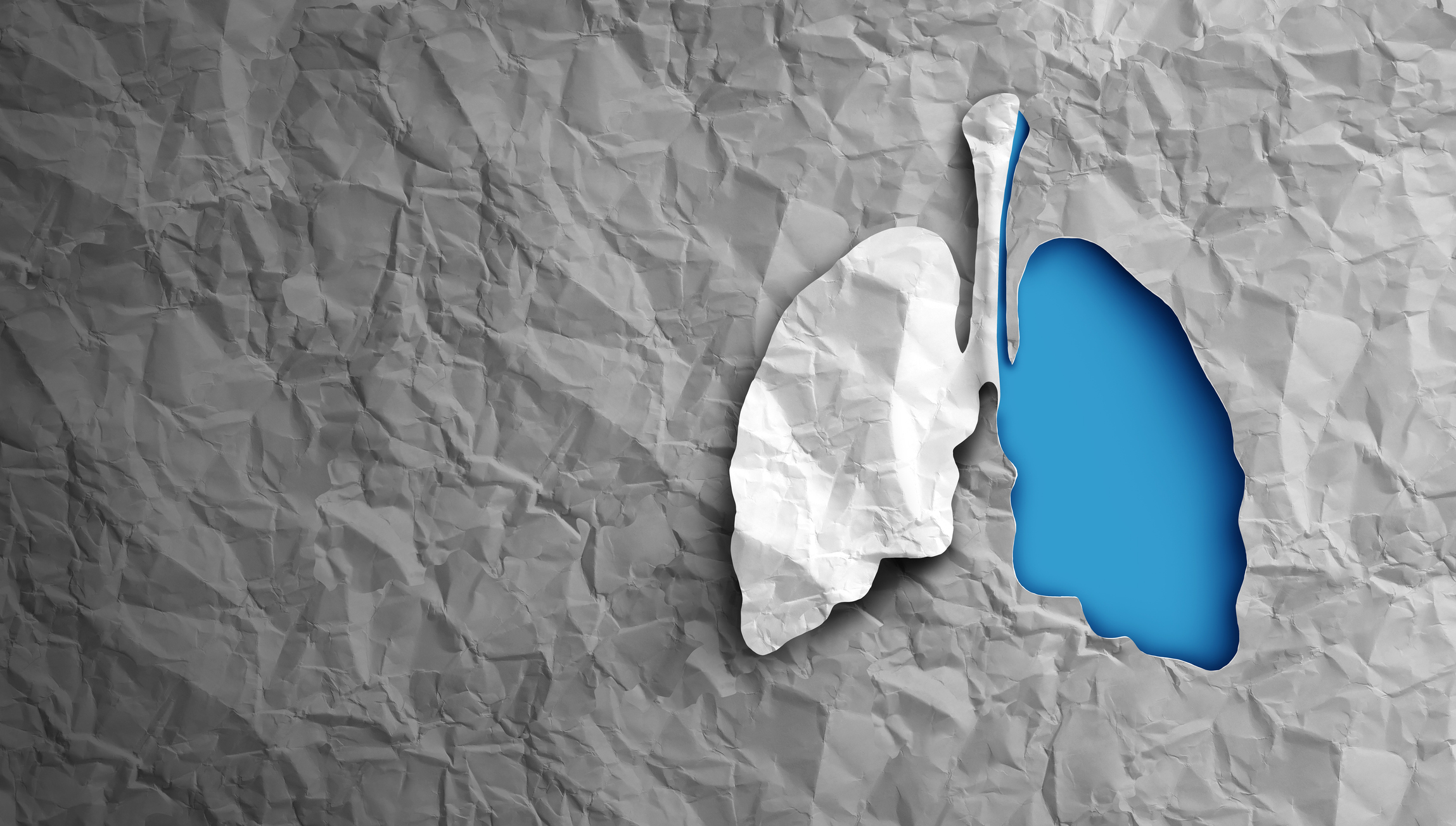 Lungs health and pulmonology as a respiratory medicine conept for pulmonary science and lung cancer or respiration disease and bronchi breathing or asthma symbol in a 3D illustration style.