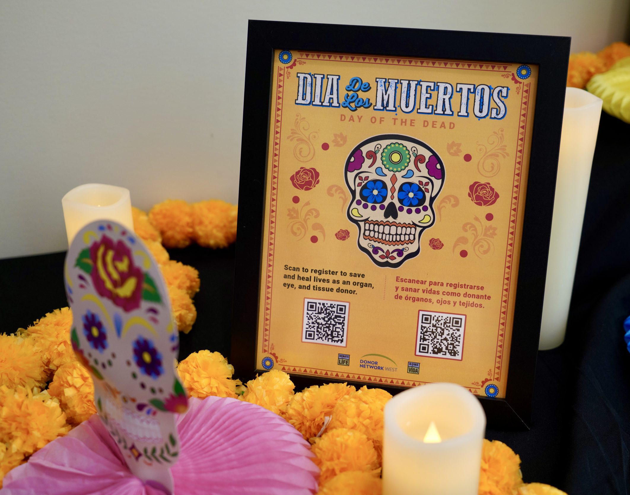 Bright Día de los Muertos signage with a QR code that links to the Donate Life organ donation registration page. 