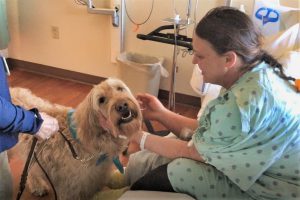 A hospital patient gets a visit from a therapy dog.