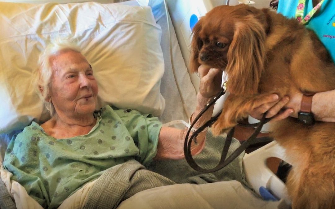 The Dog-tor Is In: Pets Now Comfort Patients in Rural Hospital