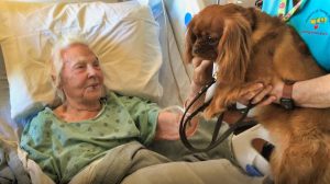Cute dog visits 101-year-old female patient