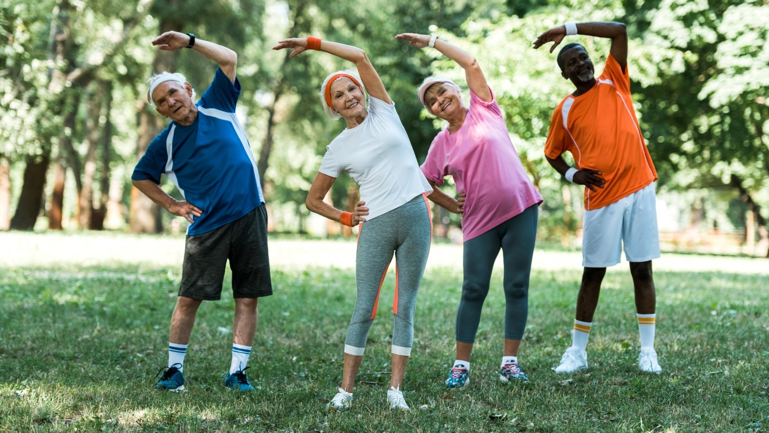 A group of people stretching in a park