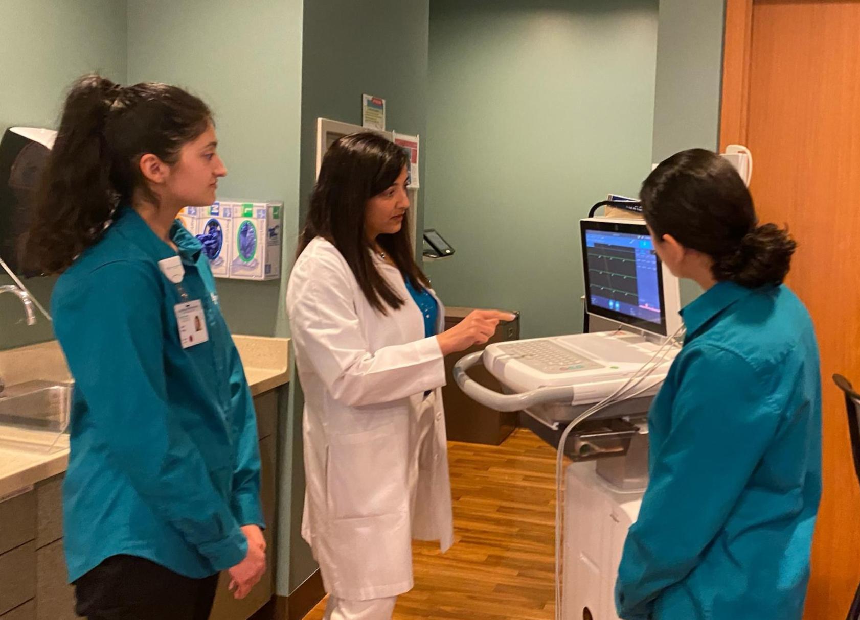 Doctor at the computer with clinical shadowing participants.