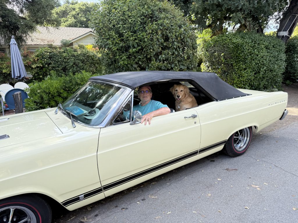 Older man in yellow car, with windows down, golden retriever in the back