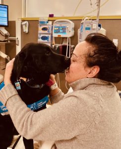 Black labrador retriever facility dog sniffing Caucasian woman's face.