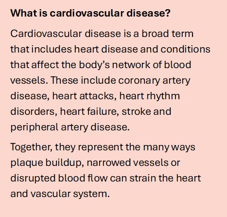 What is cardiovascular disease? Cardiovascular disease is a broad term that includes heart disease as well as conditions that affect the body’s network of blood vessels. These include coronary artery disease, heart attacks, heart rhythm disorders, heart failure, stroke and peripheral artery disease. Together, they represent the many ways plaque buildup, narrowed vessels or disrupted blood flow can strain the heart and vascular system.