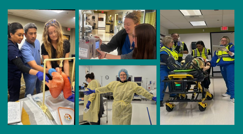 Transition in Practice collage photo of class members